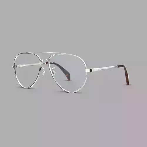 David Beckham - DB7013 Glasses Low-poly 3D model