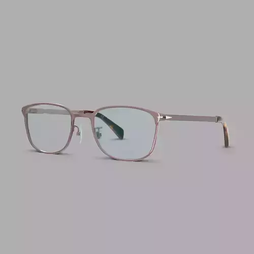 David Beckham - DB7016 Glasses  Low-poly 3D model