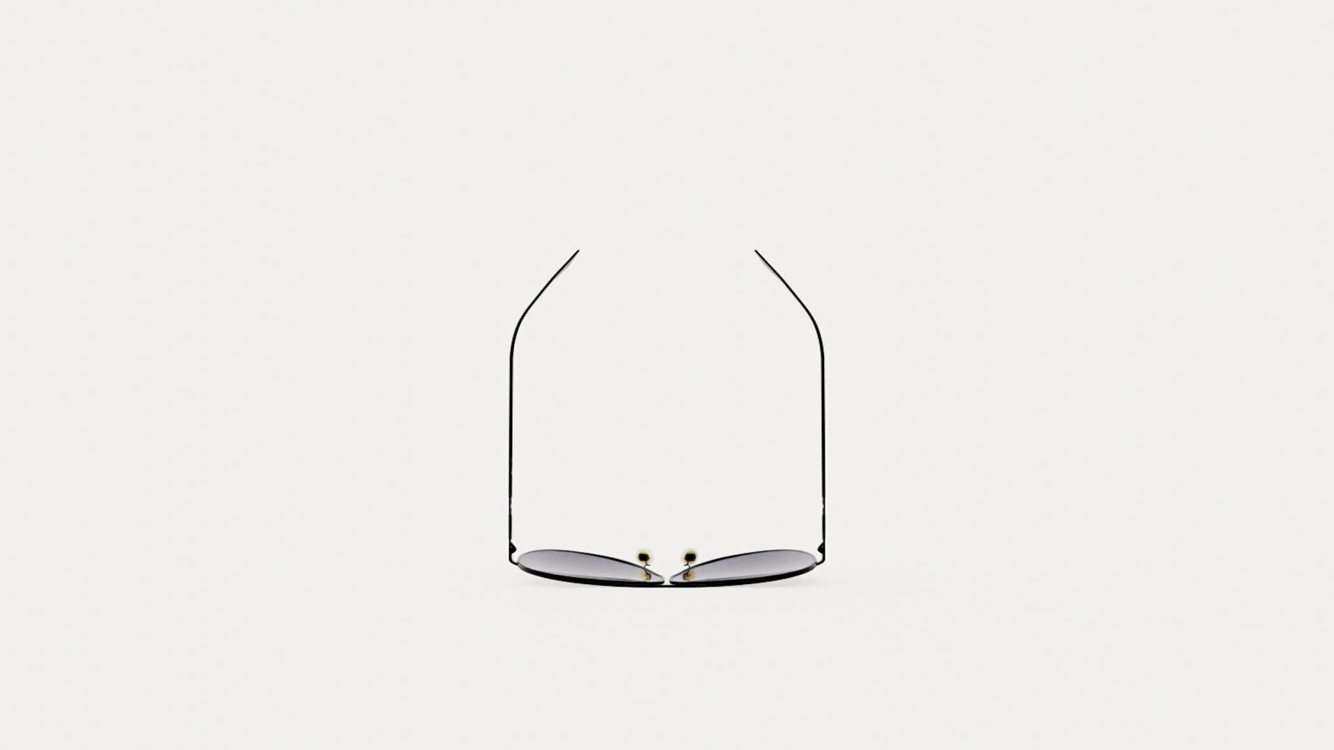 Dior - DIORCAMP Sunglasses  Low-poly 3D model_4