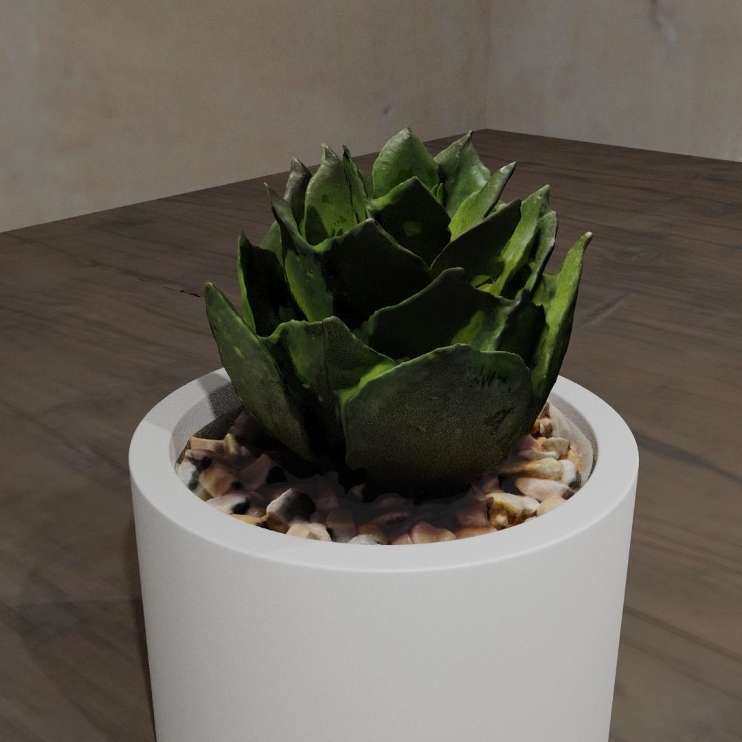 Pot Plant 3D model_3