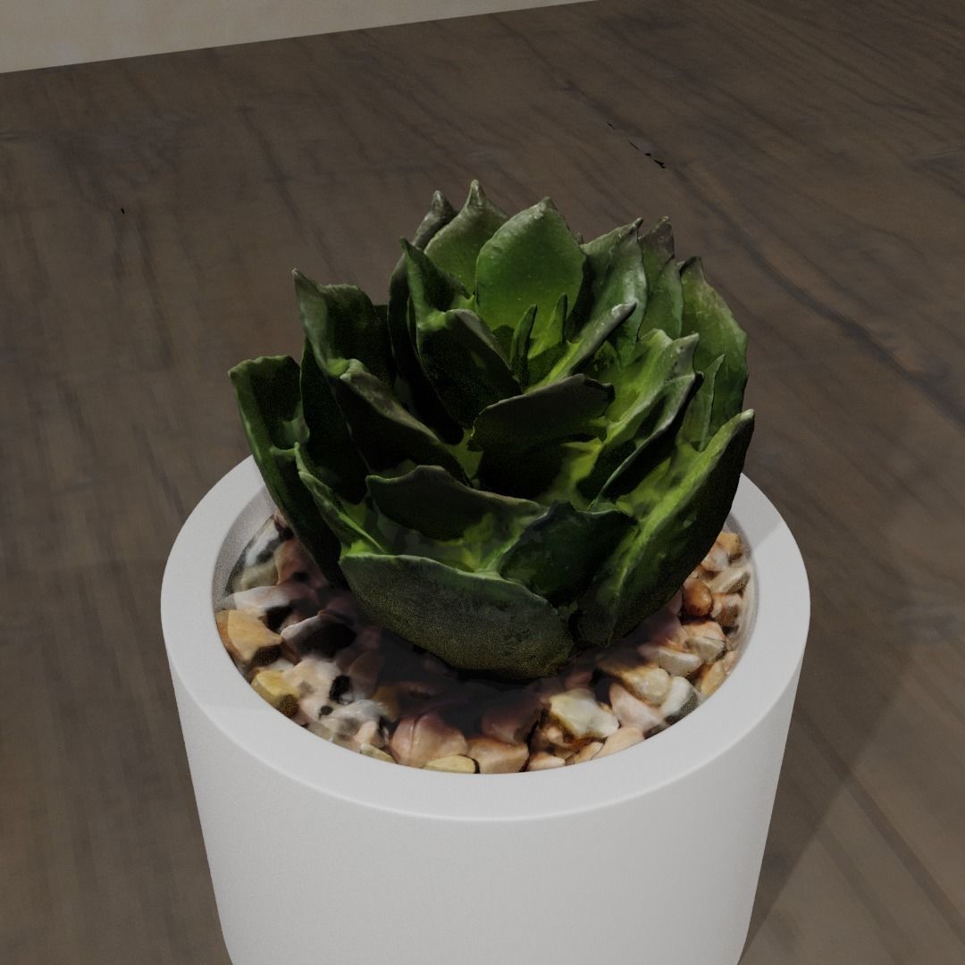 Pot Plant 3D model_4