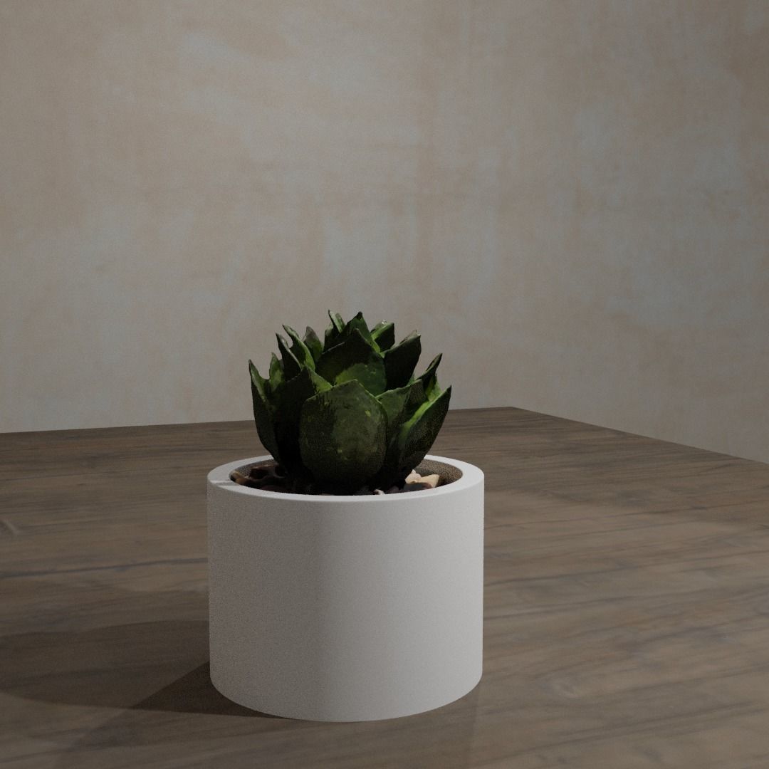 Pot Plant 3D model_2