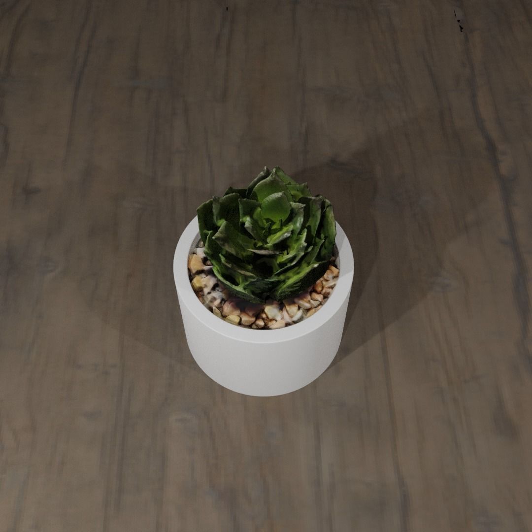 Pot Plant 3D model_1