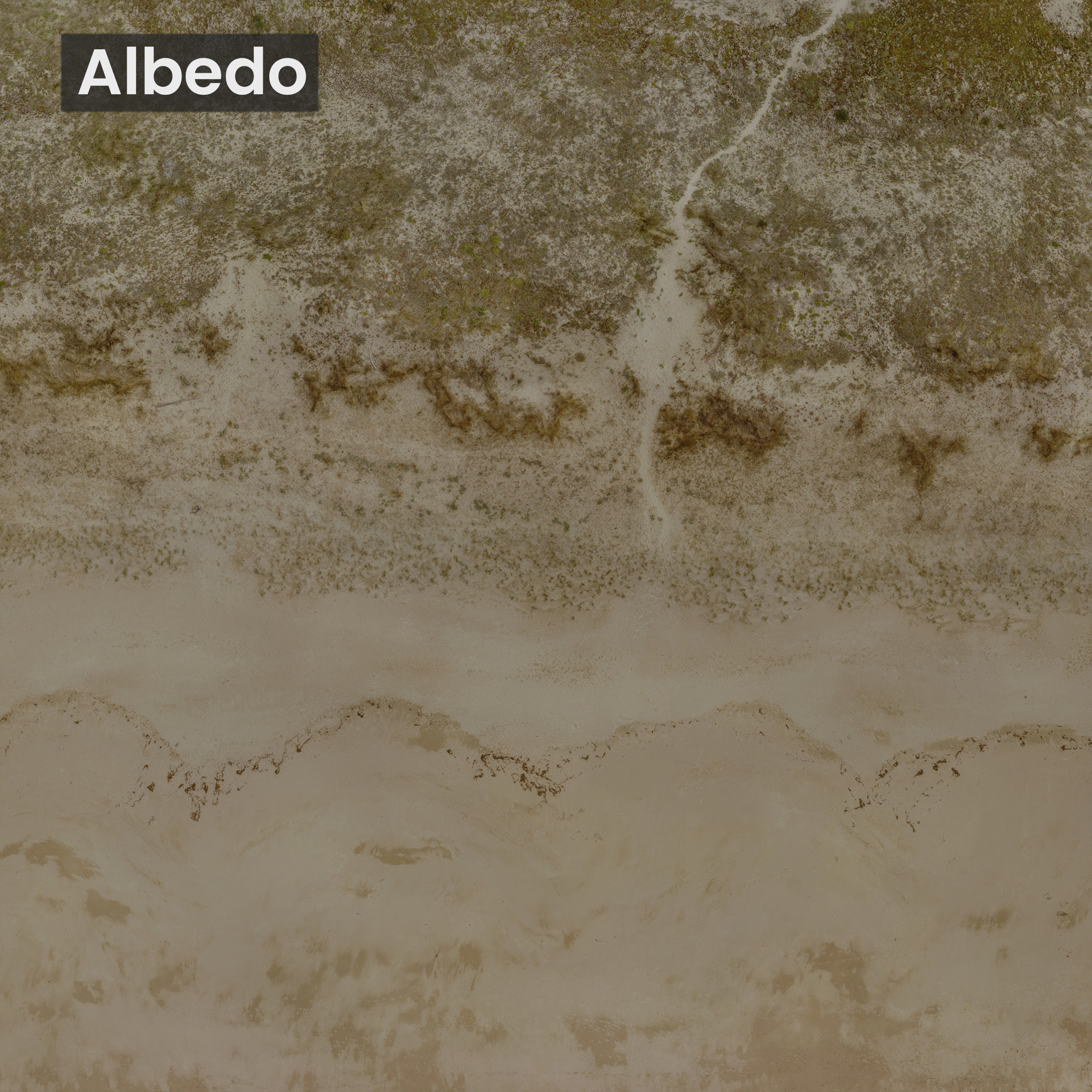 Large Sand Beach PRB Scan Low-poly 3D model_9