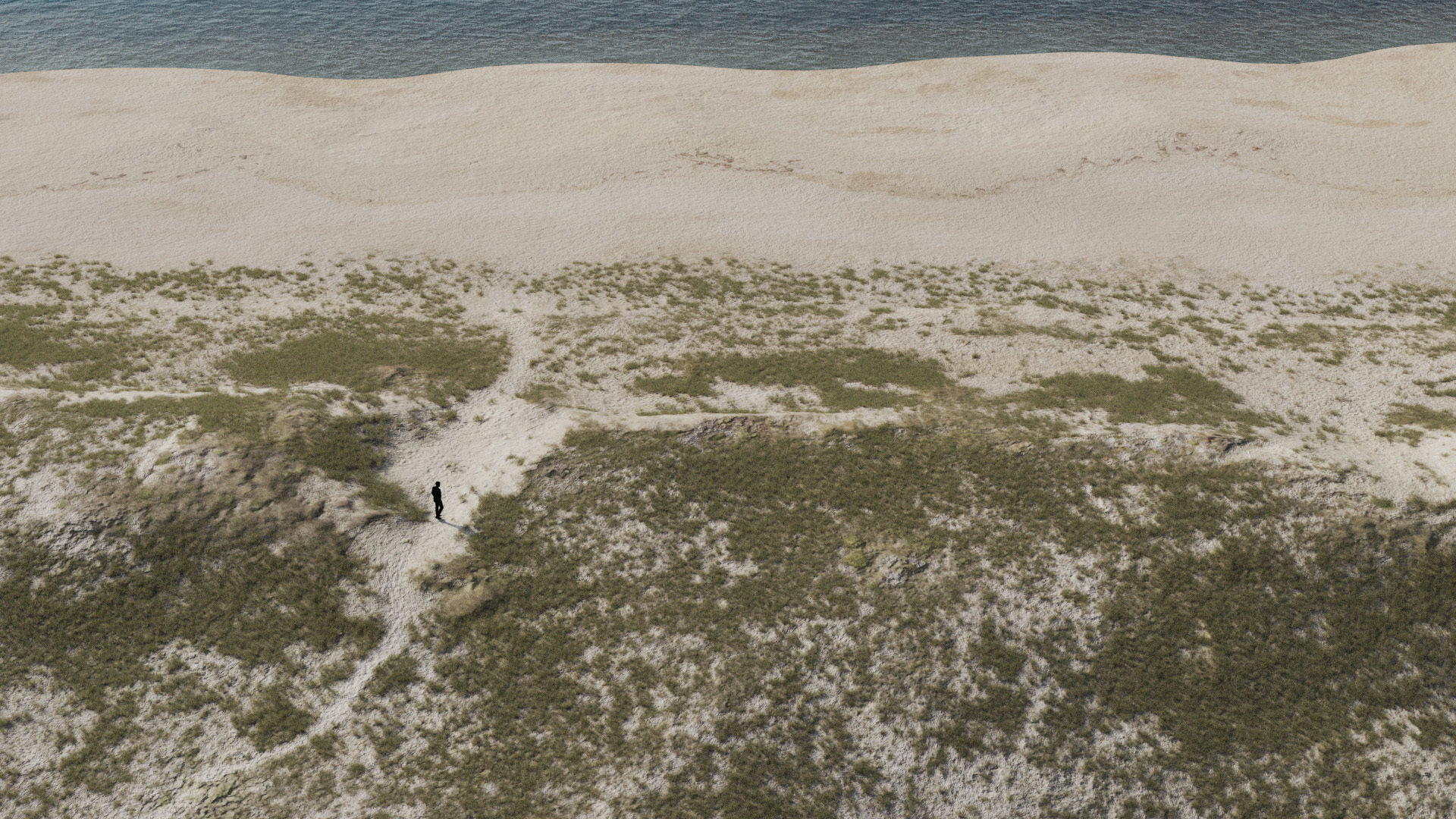 Large Sand Beach PRB Scan Low-poly 3D model_3