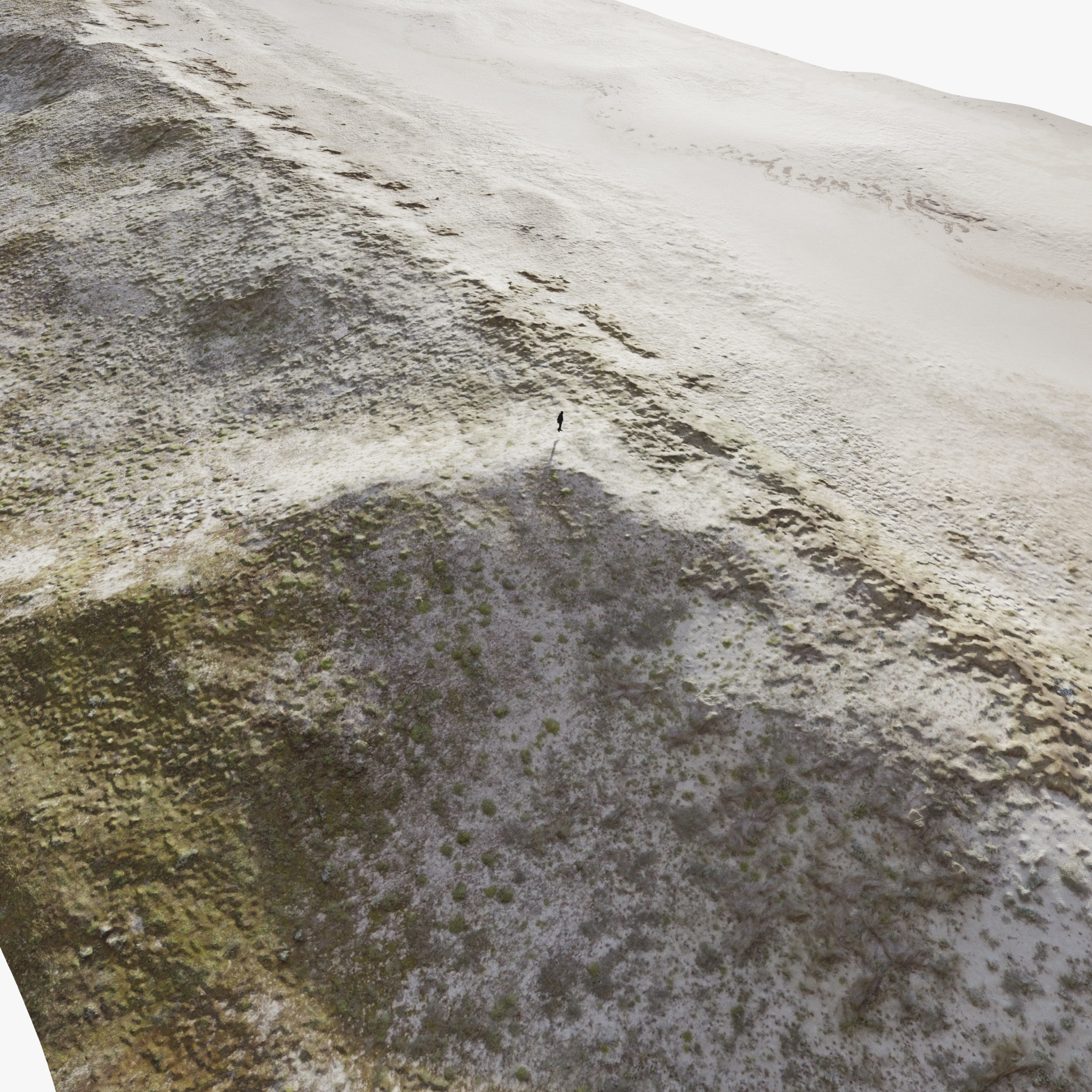 Large Sand Beach PRB Scan Low-poly 3D model_4