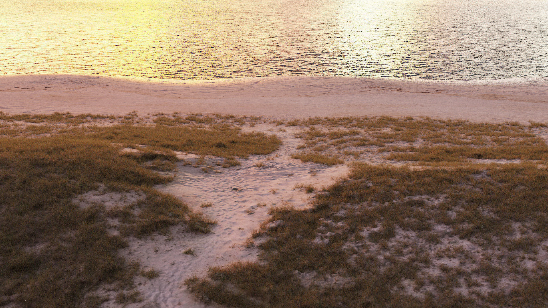 Large Sand Beach PRB Scan Low-poly 3D model_1