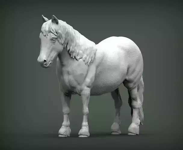Pony 3D print model horse 3D print model