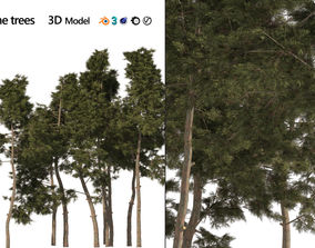 Animated Tree 3D Models | CGTrader