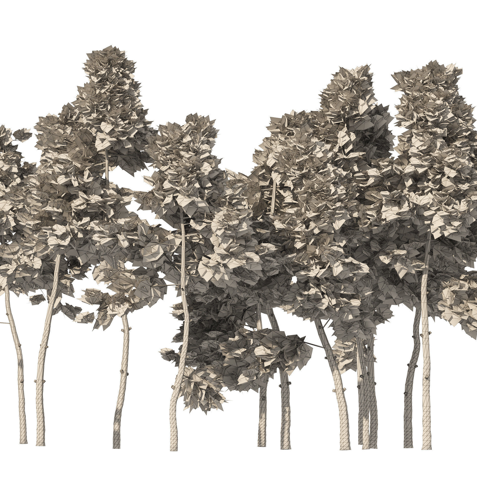 scotch pine tree forest Low-poly 3D model_5