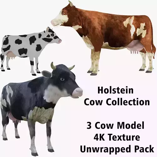 Low Poly Cow Collection - 3 Cow Models - 4K - Unwrapped 