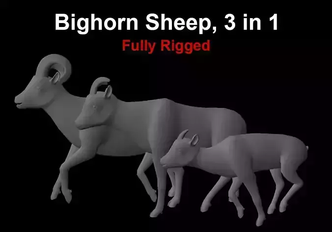 Bighorn Sheep 3 in 1 Male Female Kid