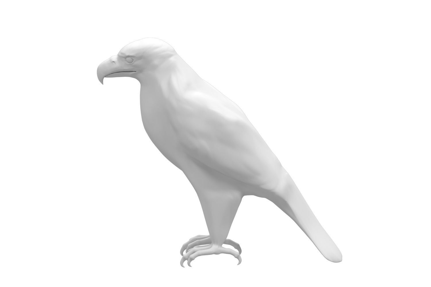 Realistic Bald Eagle 3D Model Low-poly 3D model_9