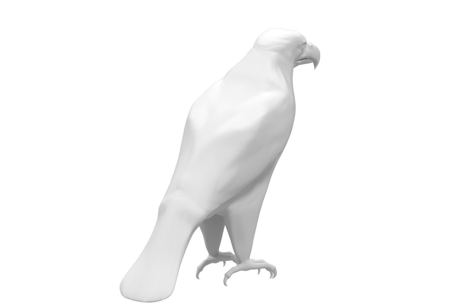 Realistic Bald Eagle 3D Model Low-poly 3D model_12