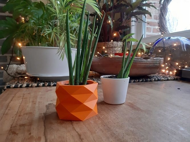 6 Geometric Flowerpots 3D print model