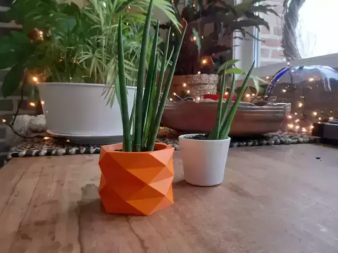 6 Geometric Flowerpots 3D print model