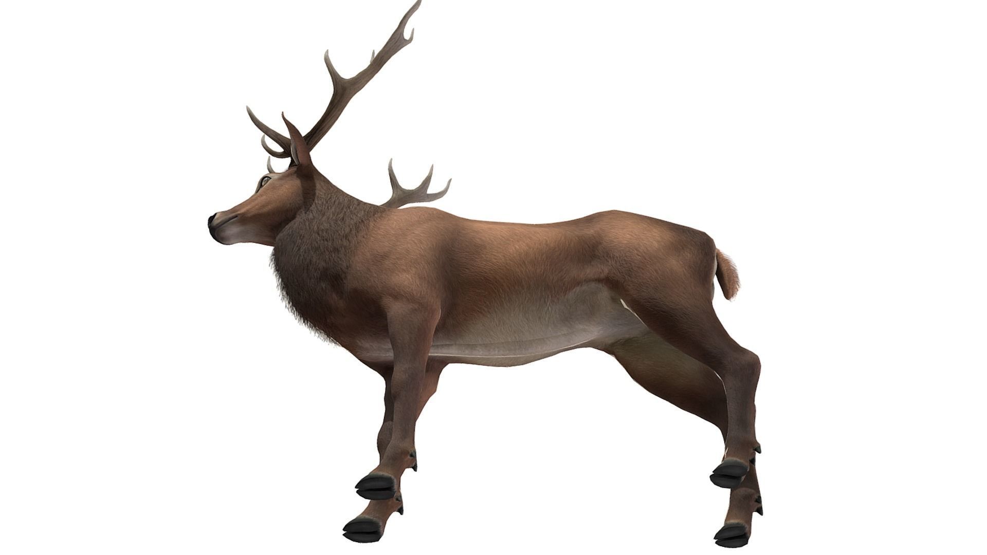 Red Deer Family Low-poly 3D model_35