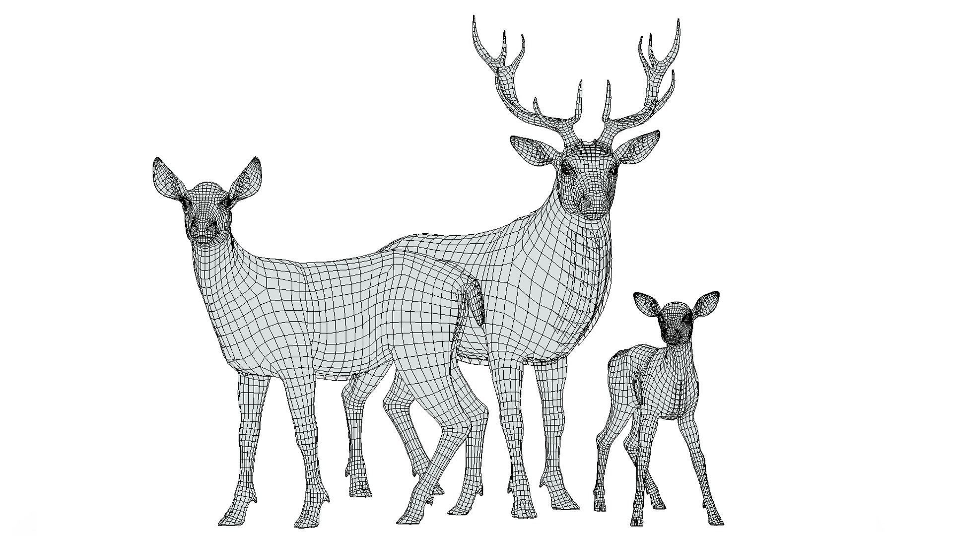 Red Deer Family Low-poly 3D model_2