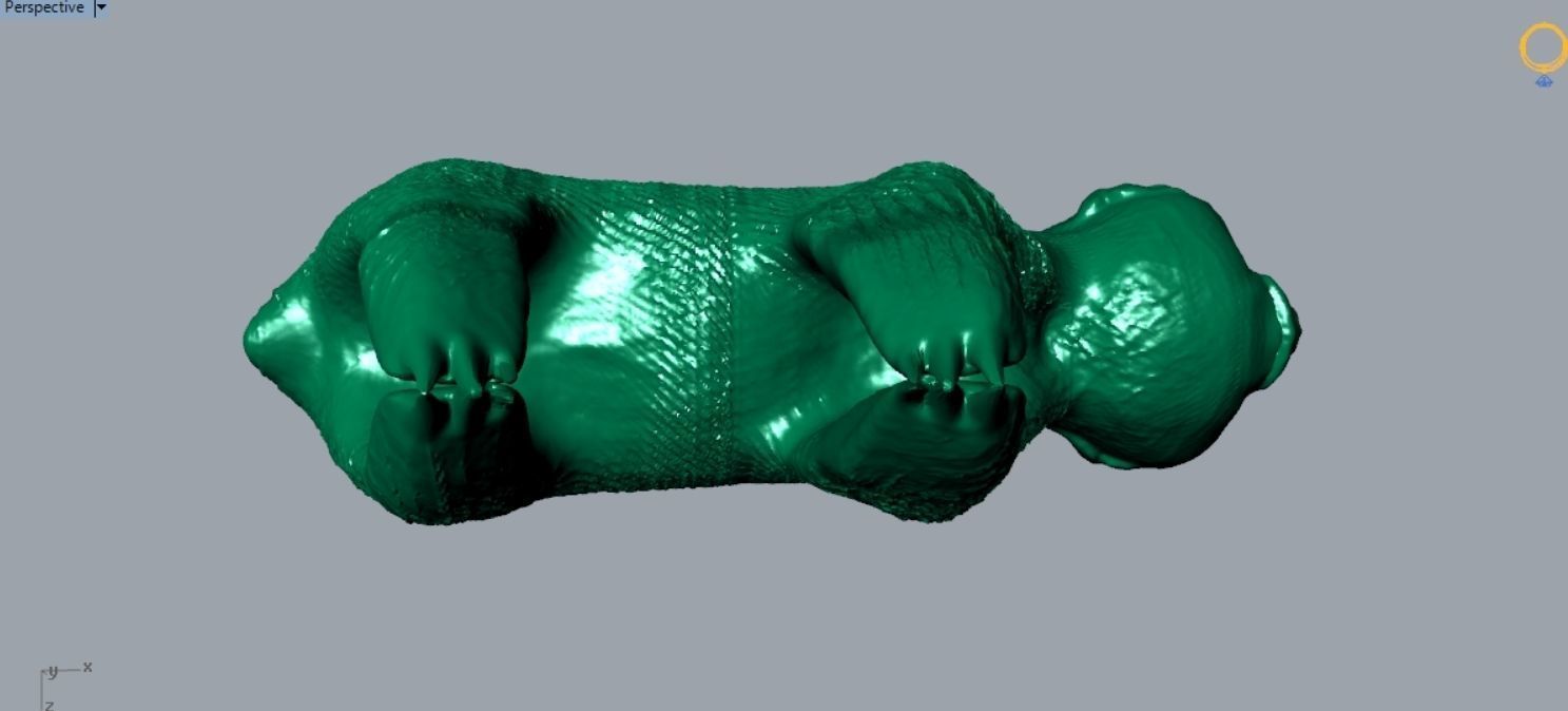 Sloth Bear Pendant P 063 3D print model_7