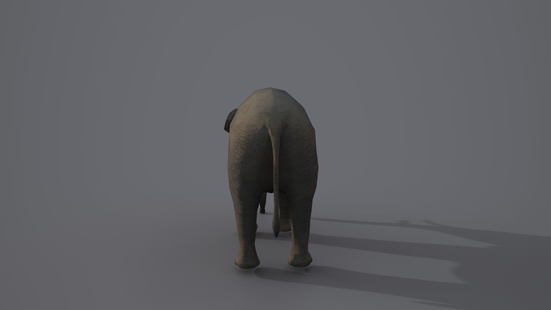African Elephant 3D model_16