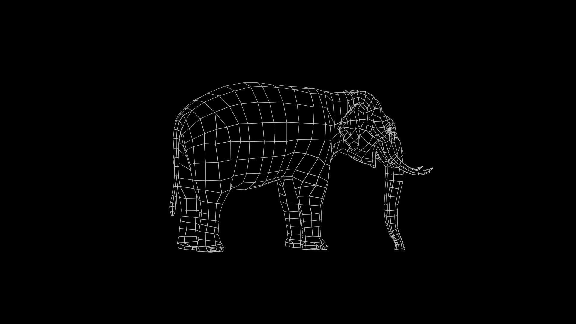African Elephant 3D model_25