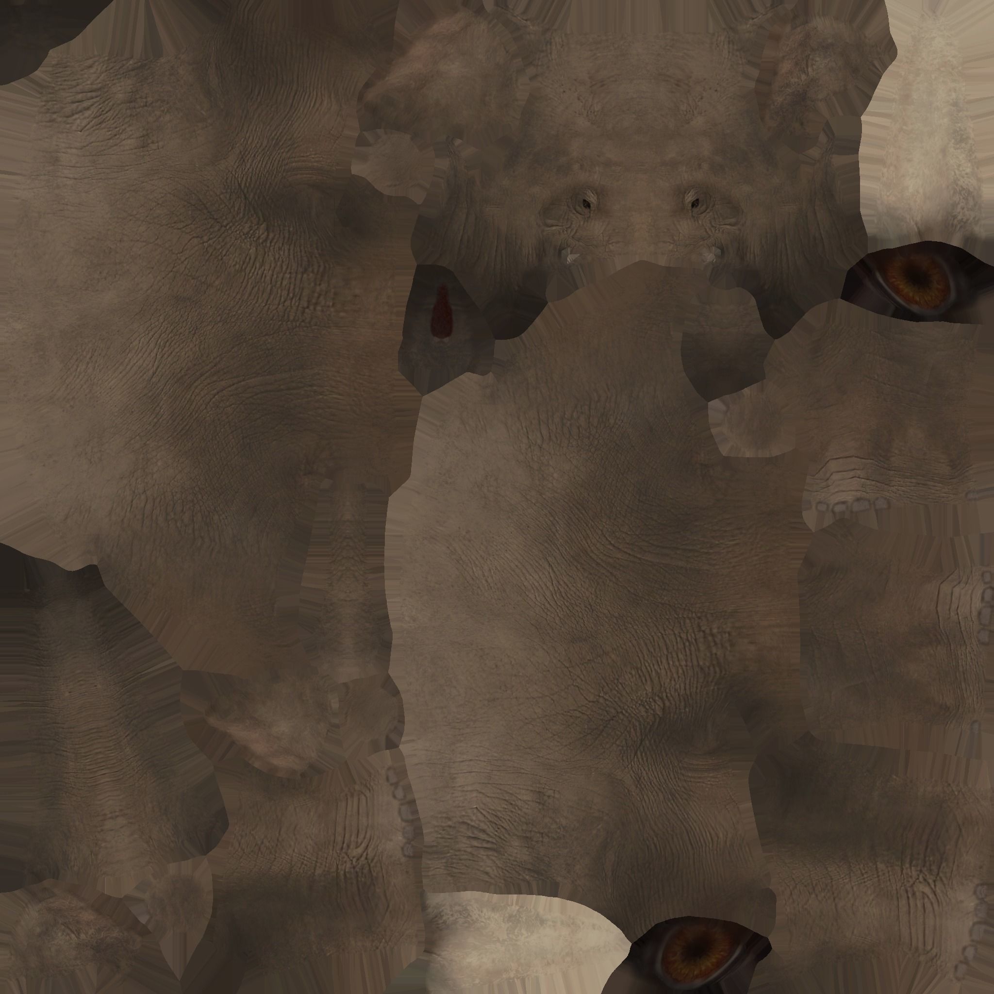 African Elephant 3D model_28