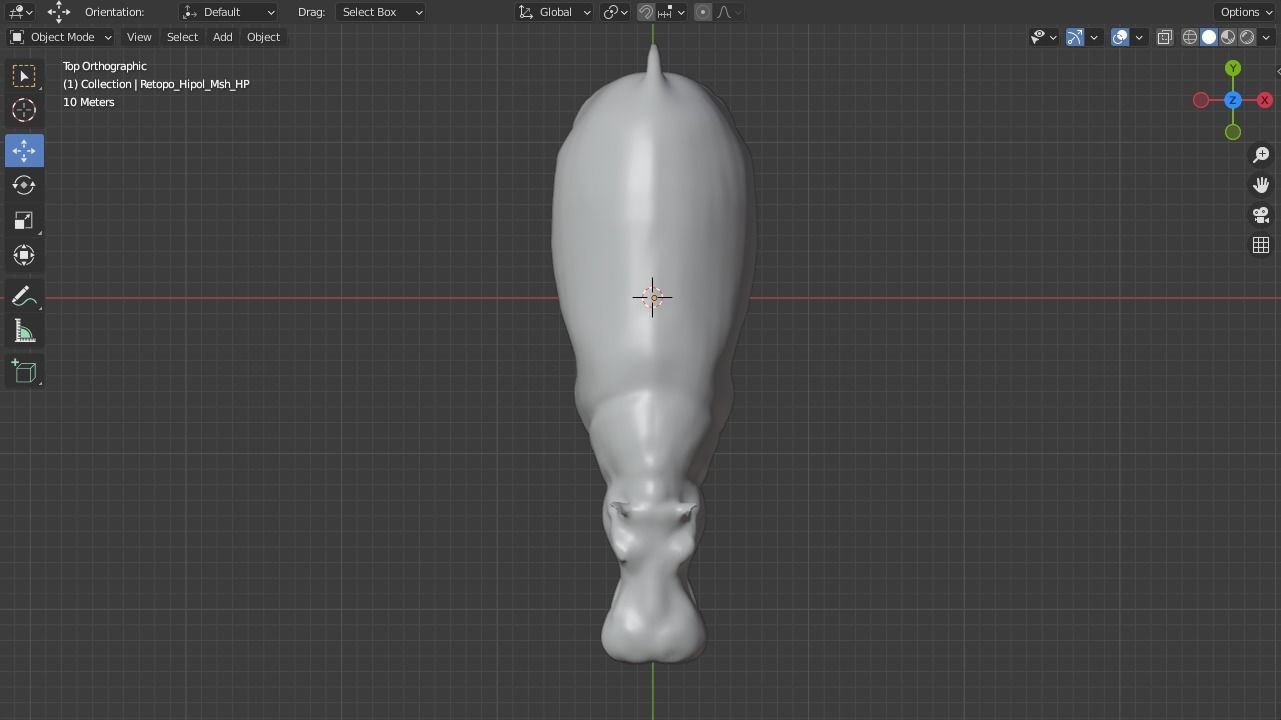 Hippopotamus Low-poly 3D model hippo Low-poly 3D model_11