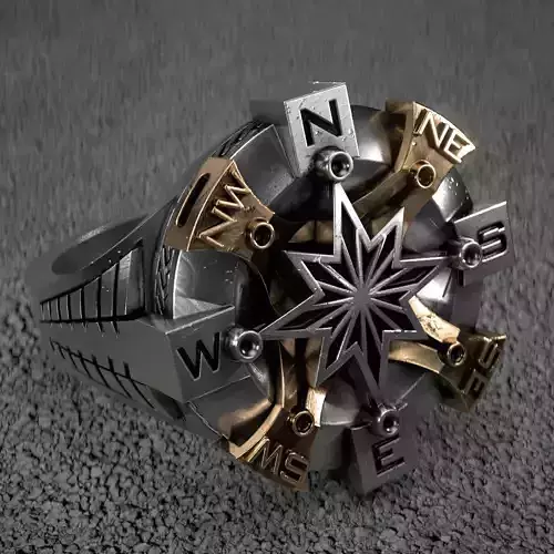 Compass-ring compass ring