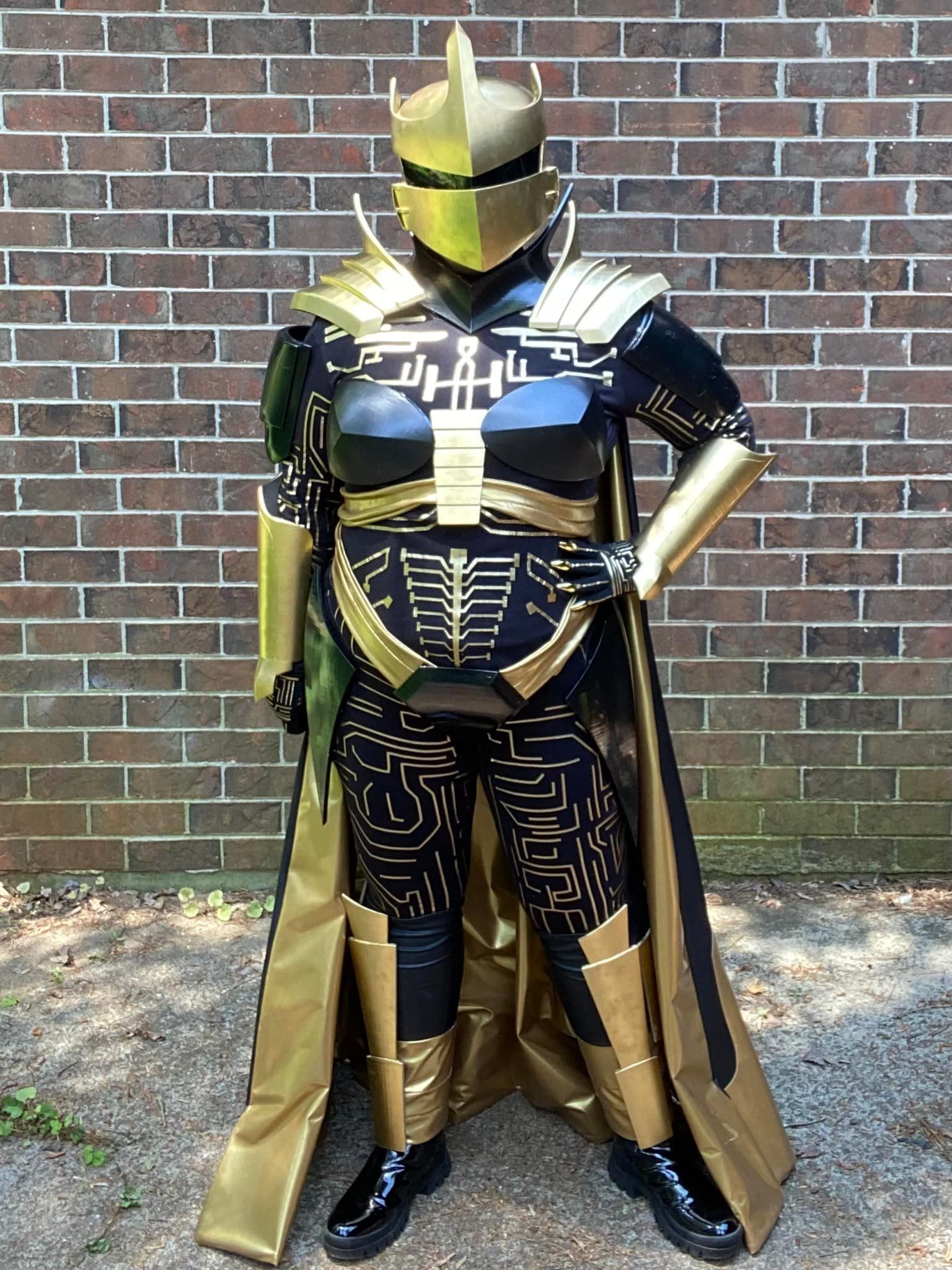 Royal Pain Pelvic Armor 3D print model_8