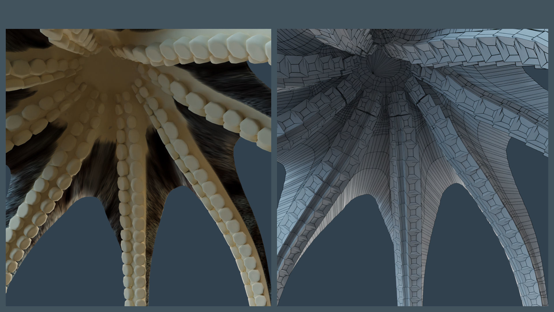 Animated Caribbean Reef Octopus Low-poly 3D model_9