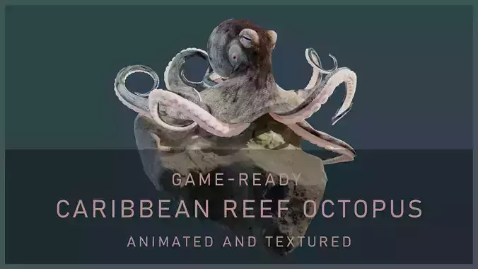 Animated Caribbean Reef Octopus Low-poly 3D model