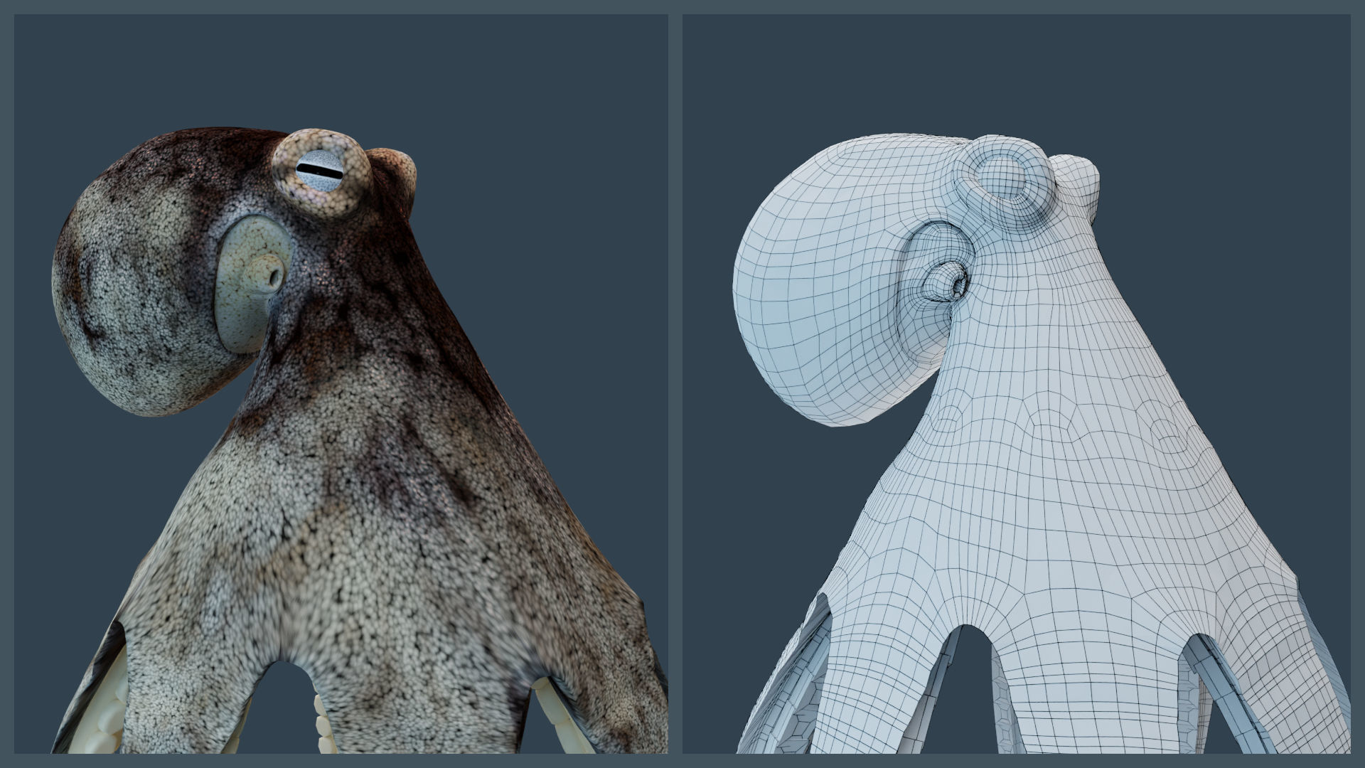 Animated Caribbean Reef Octopus Low-poly 3D model_4