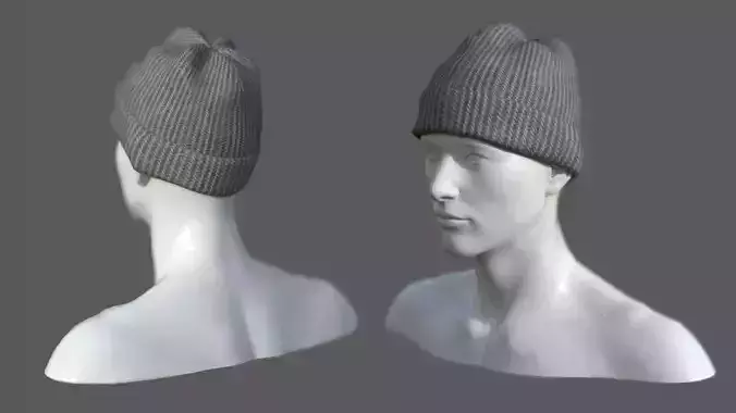 Winter hat 5 Low-poly 3D model