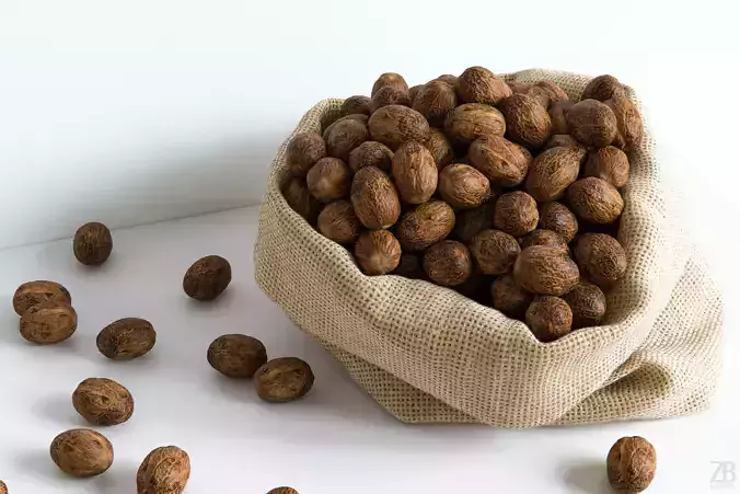 Nutmeg 3D model