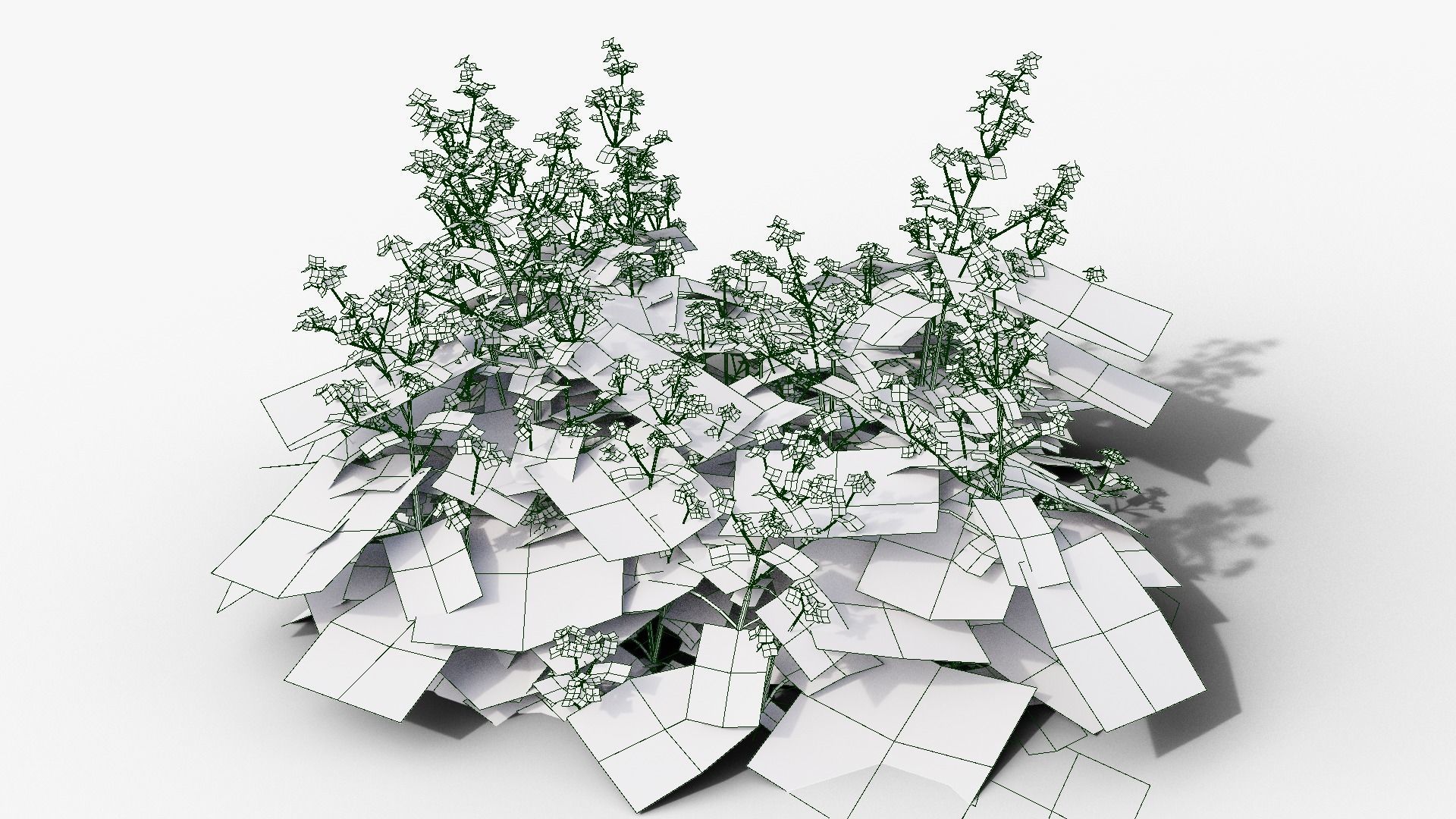 Brunnera macrophylla 3D model_10