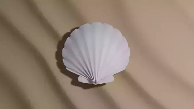 Shell seashell Free 3D model