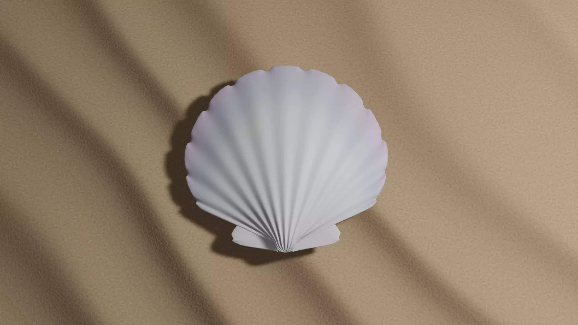 Shell seashell Free 3D model_0