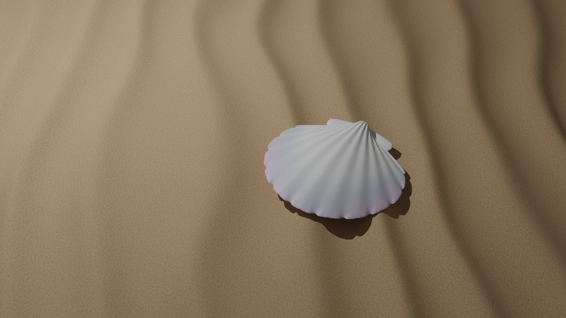 Shell seashell Free 3D model_2