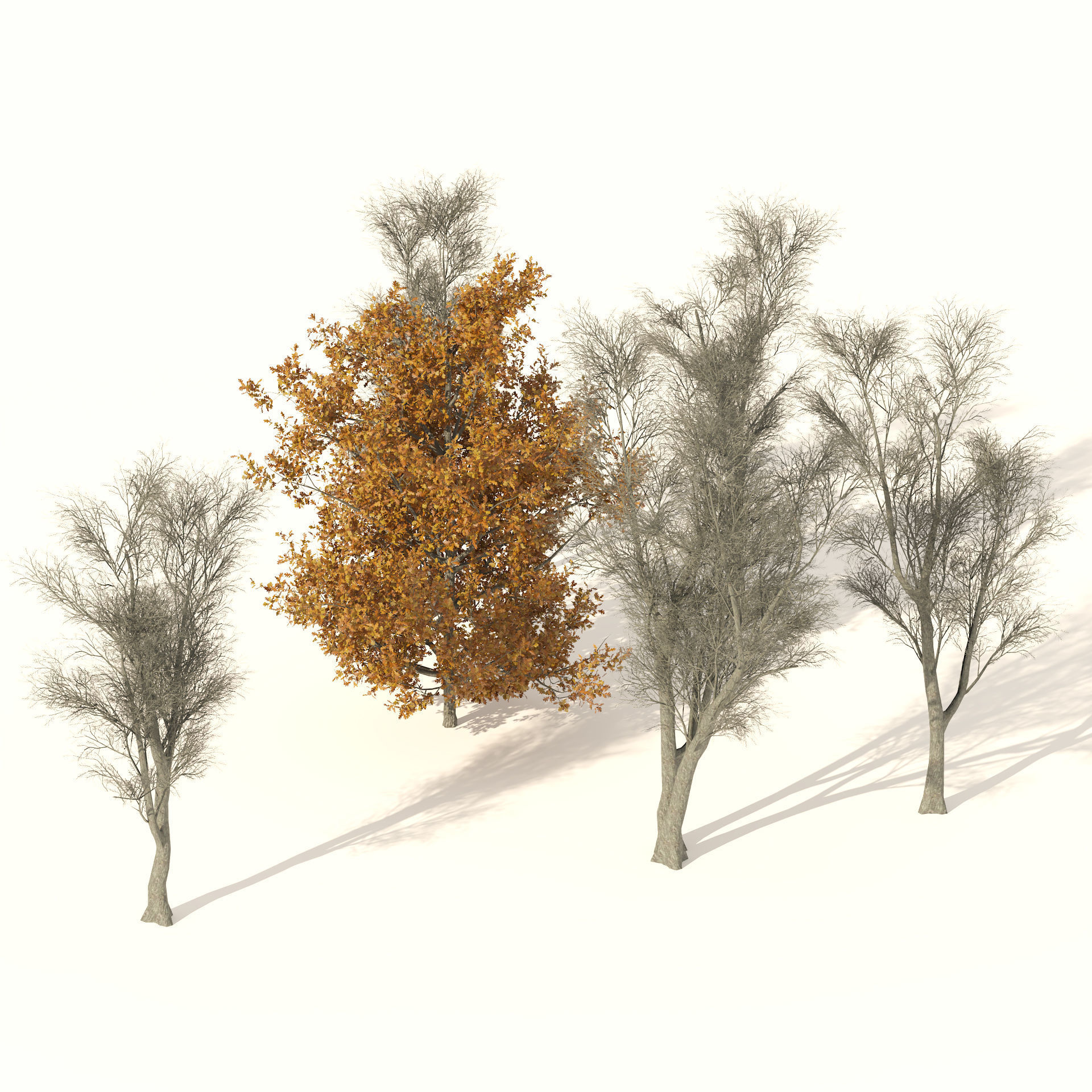 winter and fall oak trees Low-poly 3D model_3