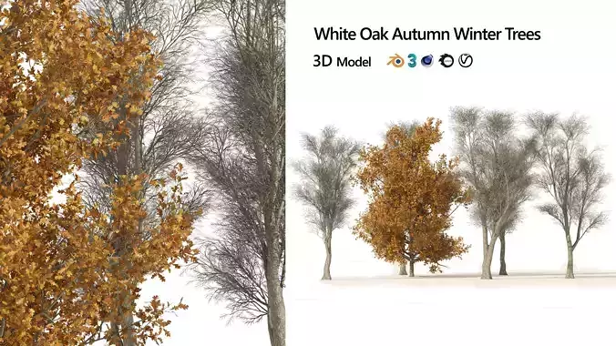 winter and fall oak trees Low-poly 3D model winter and fall oak trees Low-poly 3D model