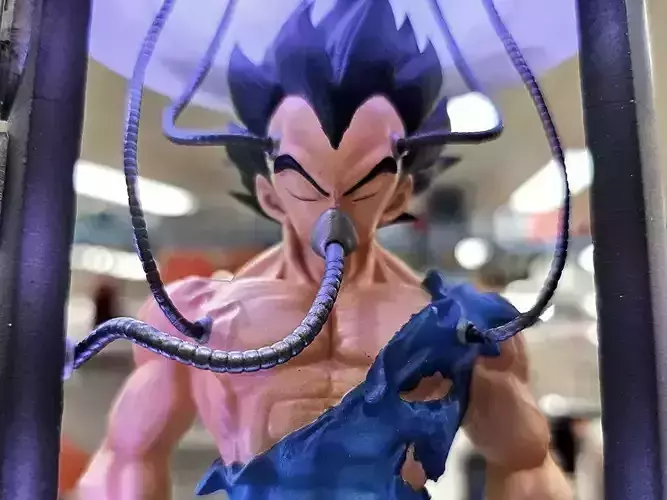 VEGETA - Healing warehouse  