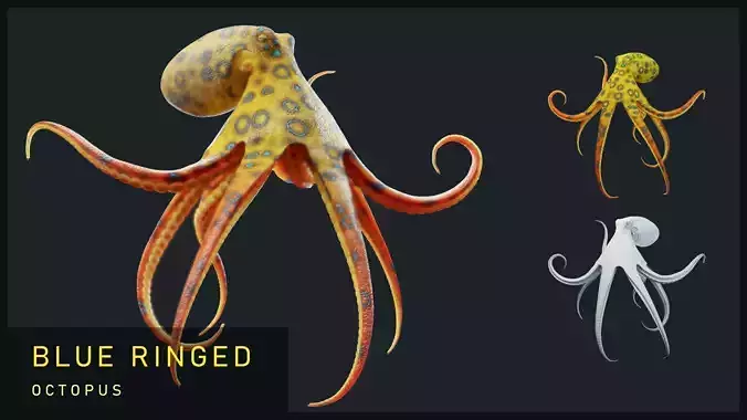 Animated Blue-Ringed Octopus Low-poly 3D model