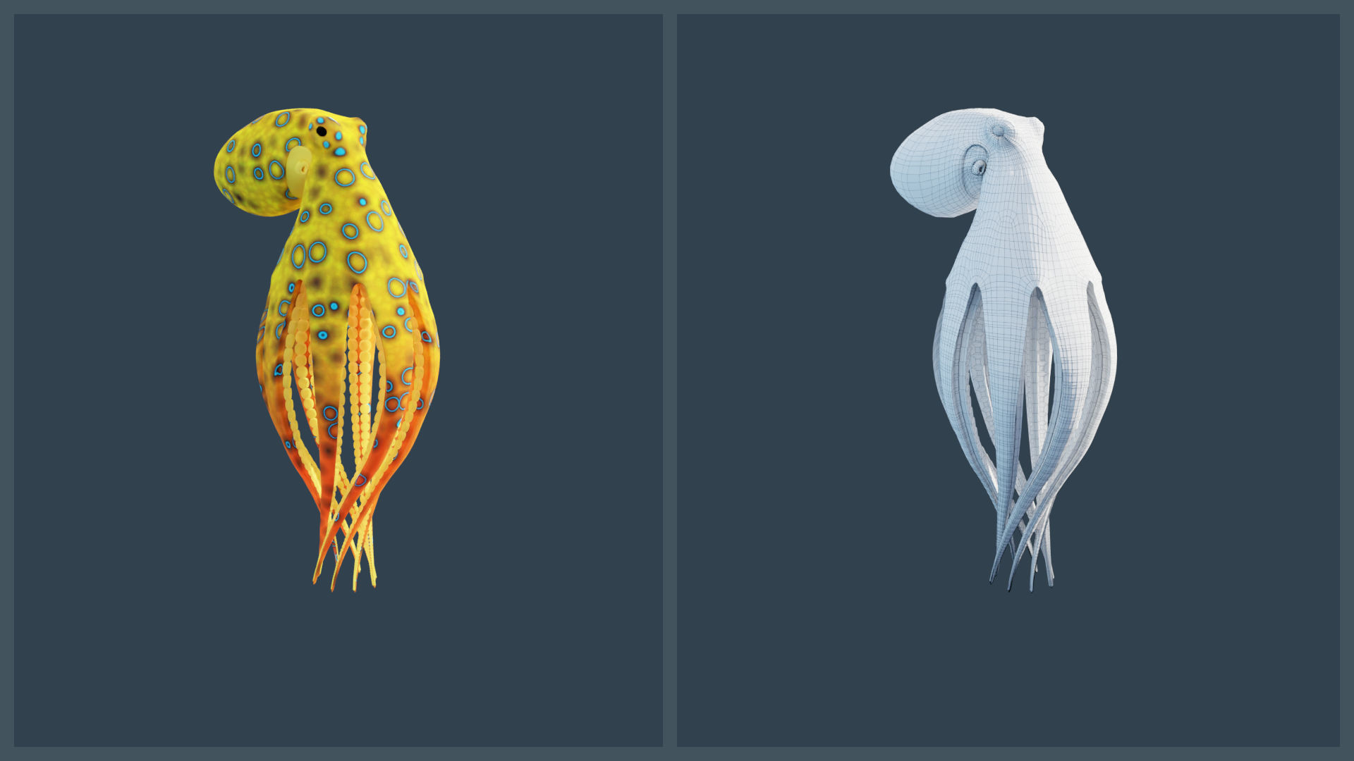 Animated Blue-Ringed Octopus Low-poly 3D model_13