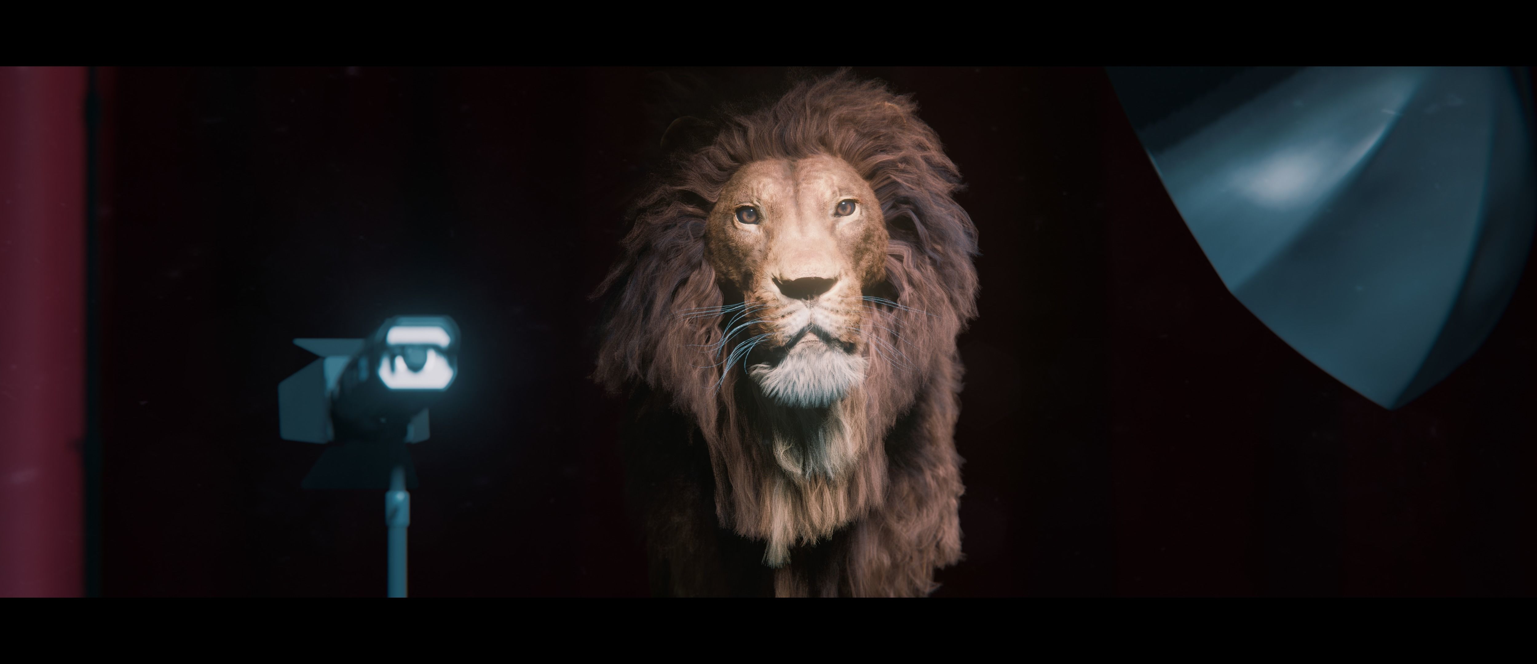 Lion Photorealistic Rigged 3d Blender 4K model  3D model_11