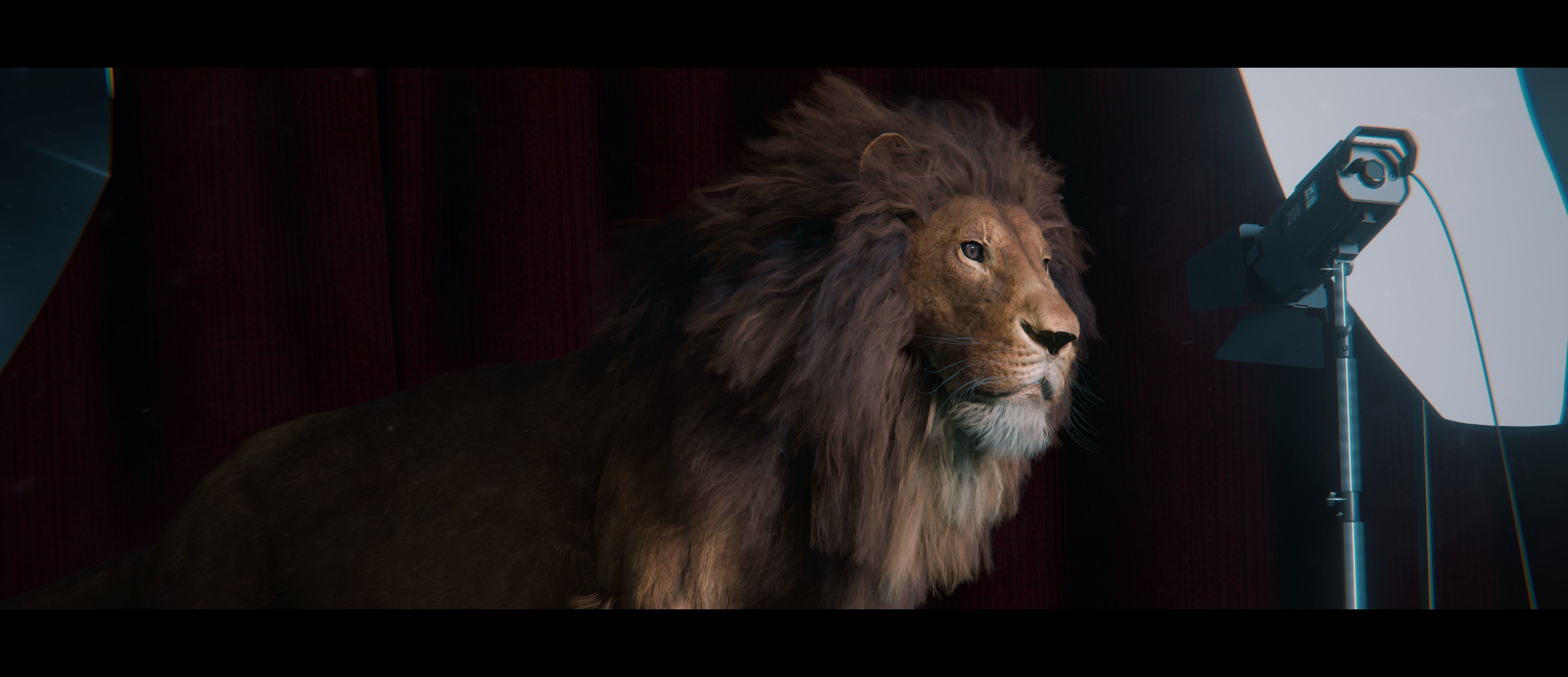 Lion Photorealistic Rigged 3d Blender 4K model  3D model_4