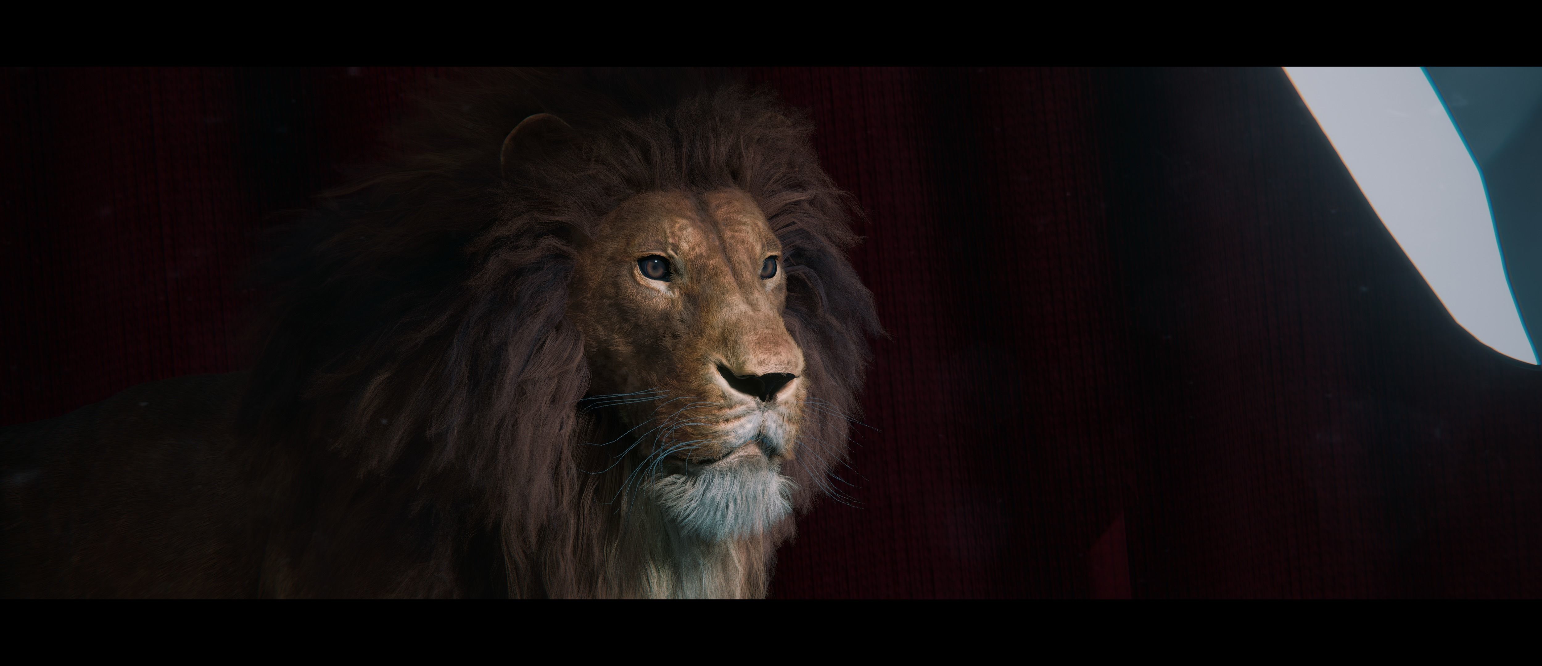 Lion Photorealistic Rigged 3d Blender 4K model  3D model_29