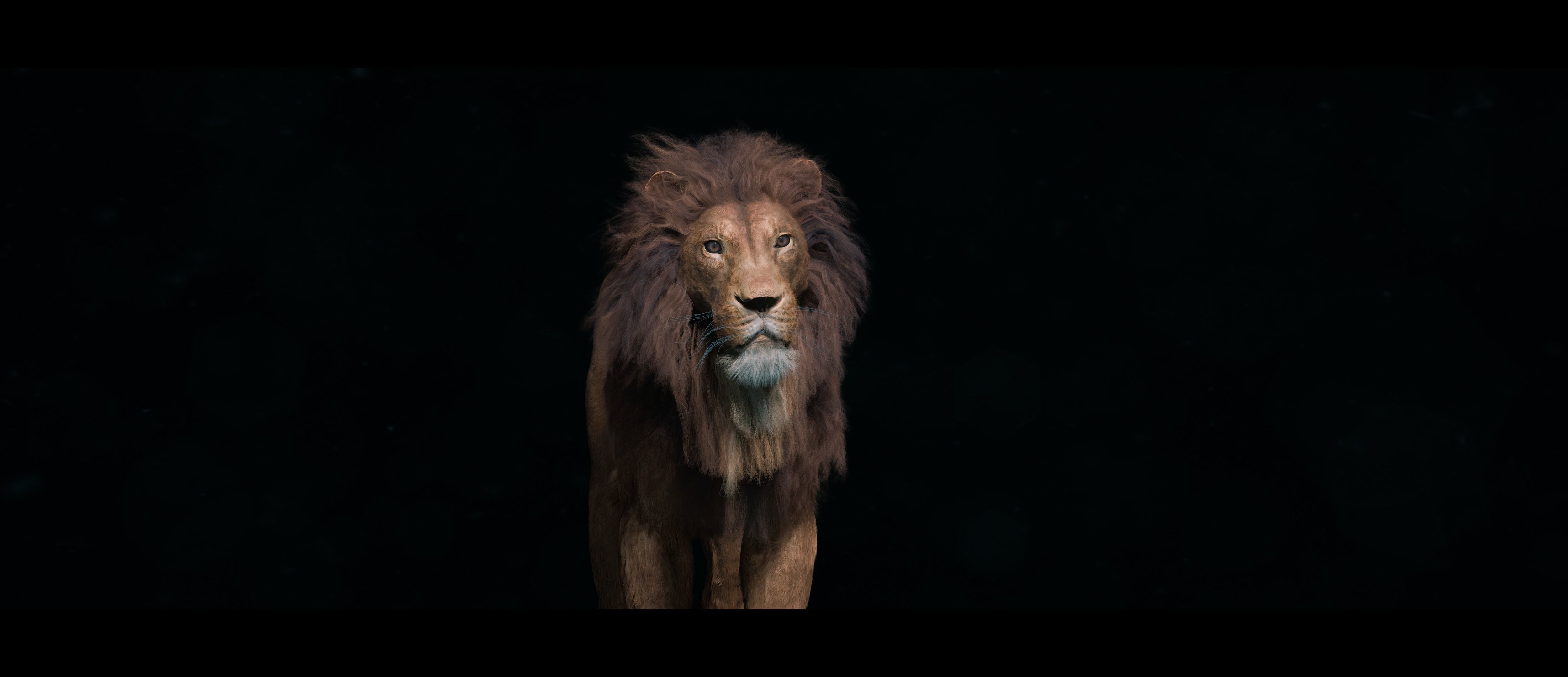 Lion Photorealistic Rigged 3d Blender 4K model  3D model_10