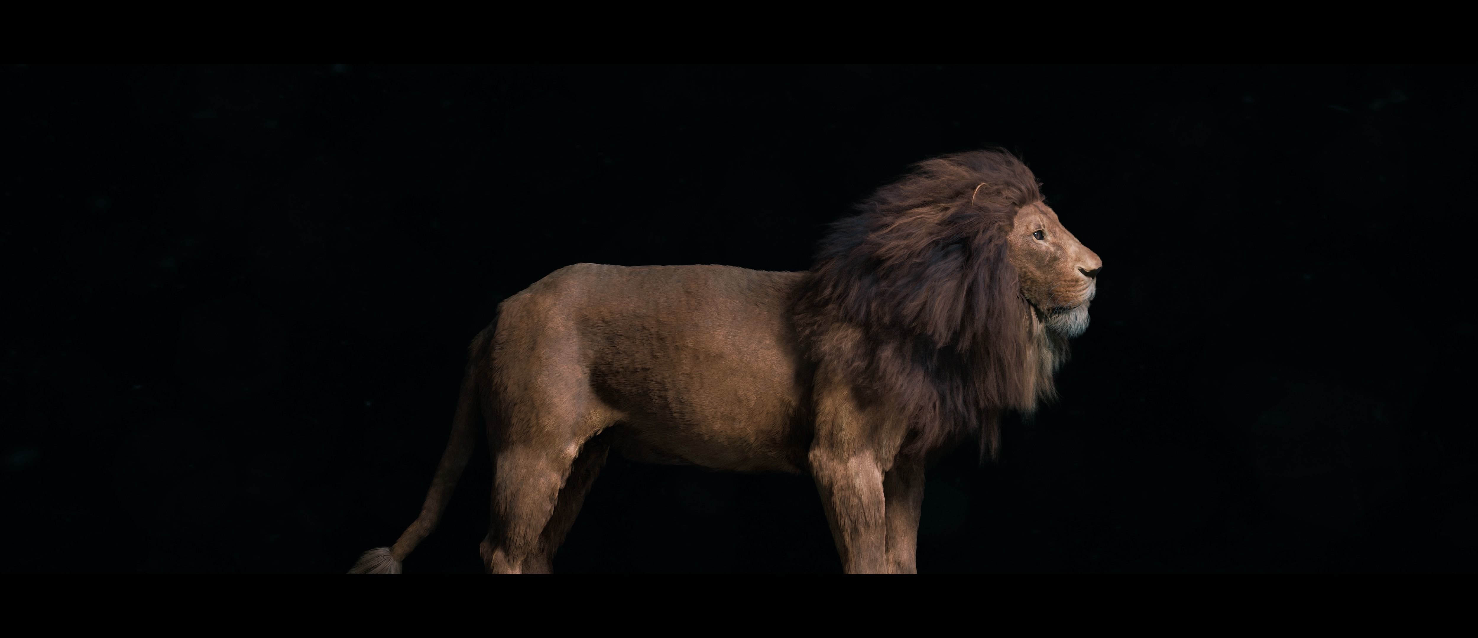 Lion Photorealistic Rigged 3d Blender 4K model  3D model_23