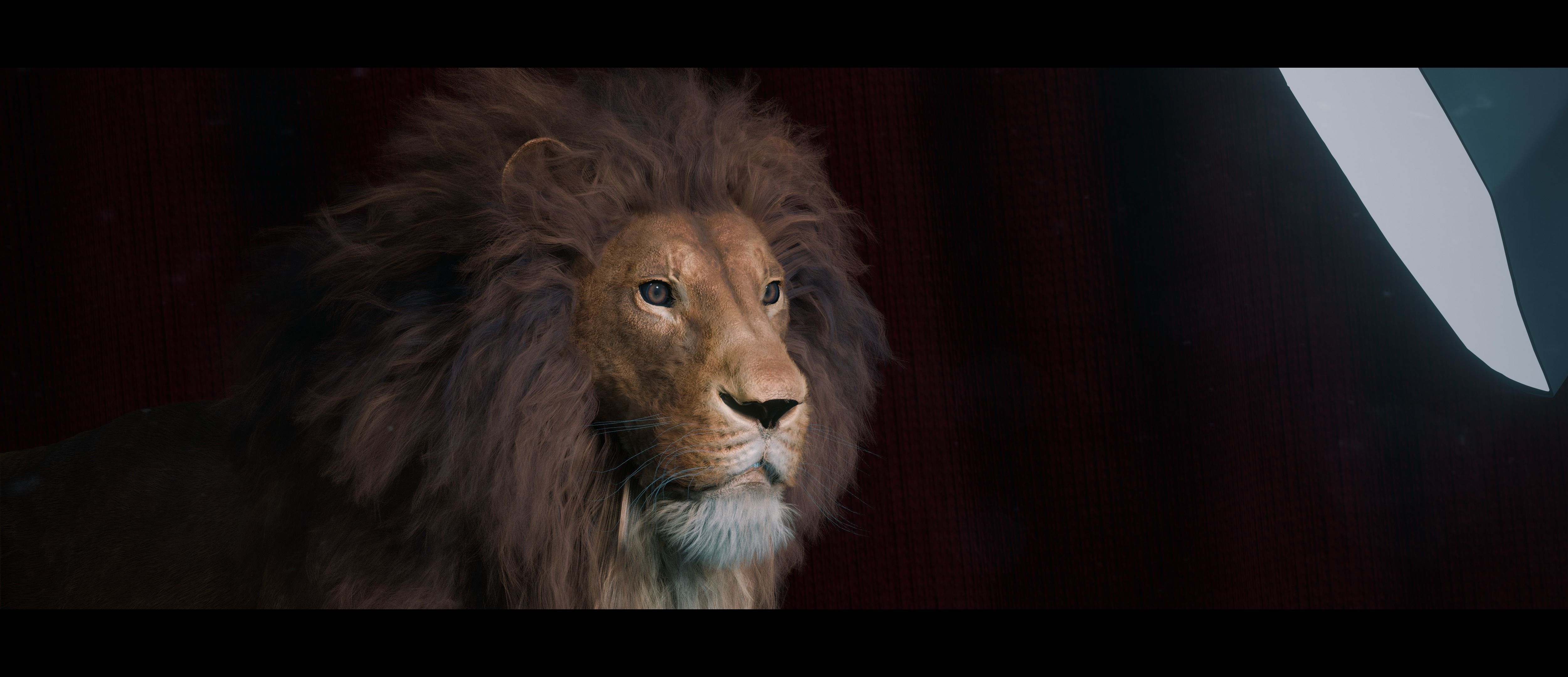 Lion Photorealistic Rigged 3d Blender 4K model  3D model_42