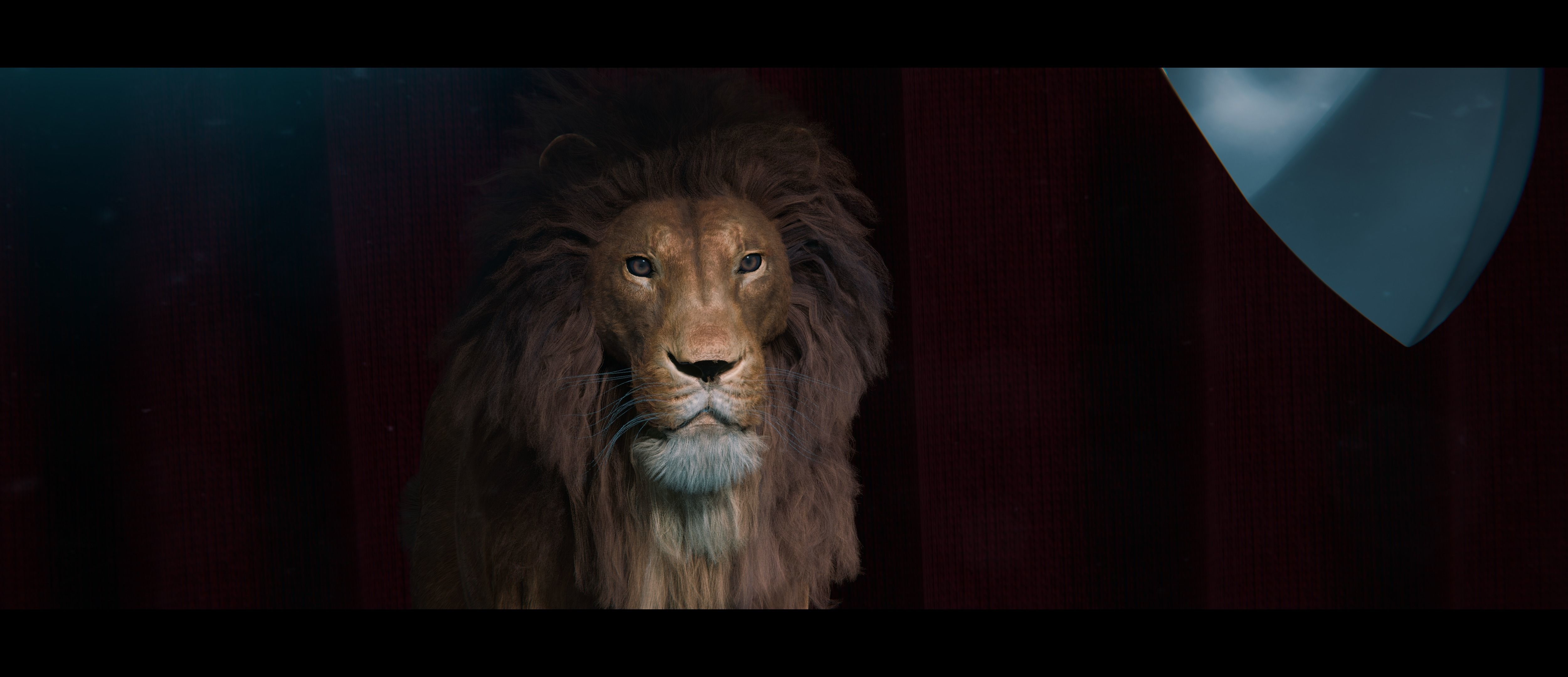 Lion Photorealistic Rigged 3d Blender 4K model  3D model_24